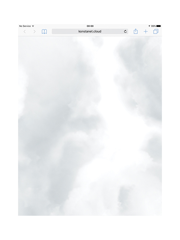 Kirill Tulin. Dalla resistenza alla nube. 2016. Pigmenttinditrükk läbipaistval polüester filmil, LEC valgus, nailonist nöör, konteiner. 29,7 x 42 cm, installatsioon varieeruvate mõõtudega. Tiraaž: 2 + 1 AP