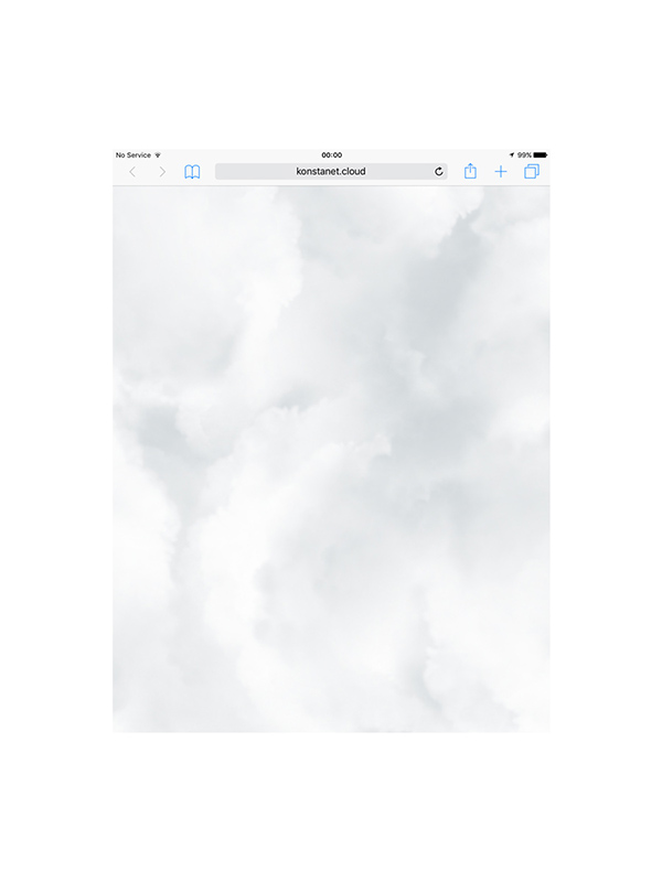 Kirill Tulin. Dalla resistenza alla nube. 2016. Pigmenttinditrükk läbipaistval polüester filmil, LEC valgus, nailonist nöör, konteiner. 29,7 x 42 cm, installatsioon varieeruvate mõõtudega. Tiraaž: 2 + 1 AP