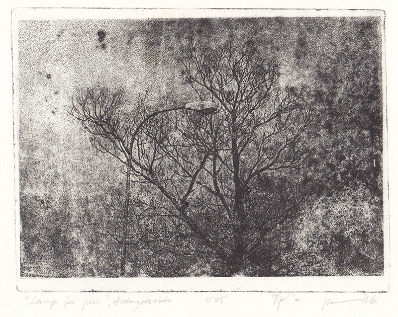 Lilli-Krõõt Repnau. Lamp ja puu. 2016. Fotopolümer. 40 x 30 cm. Tiraaž: 10