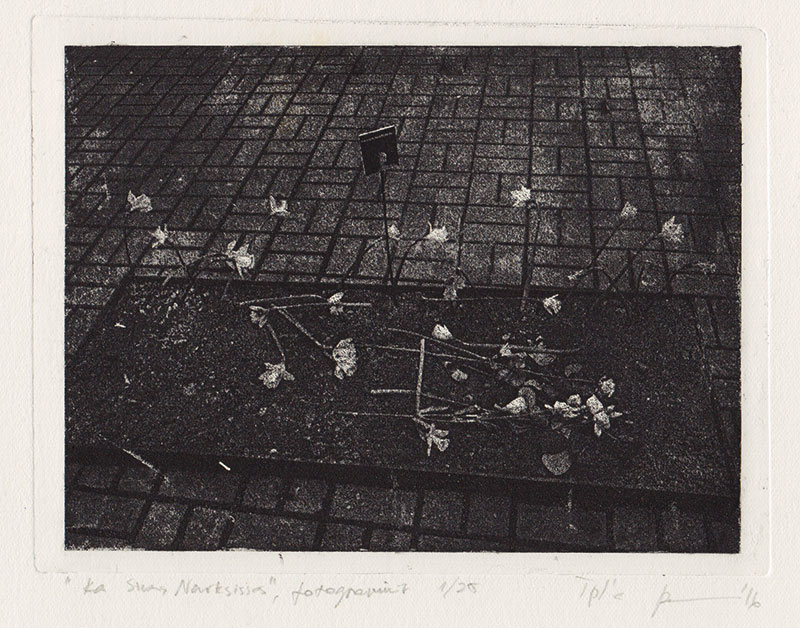Lilli-Krõõt Repnau. Ka Sina, Narksissos. 2016. Fotopolümer. 40 x 30 cm. Tiraaž: 10