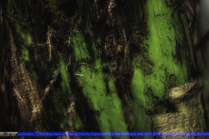 Peeter Laurits. Päevakaja. Deep Learning. 2016. Diasec. 60 x 40 cm. Tiraaž: 5 + 2 AP