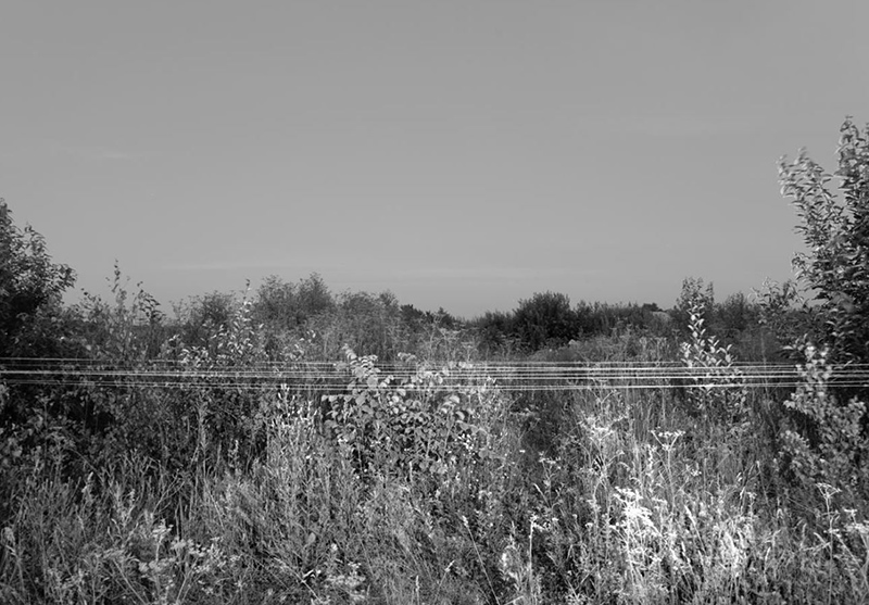 Paco Ulman. Kaasautor Kaja Pae. Untitled 2. 2013. Pigmenttinditrükk. 40 x 30 cm. Tiraaž: 10 + 2 AP