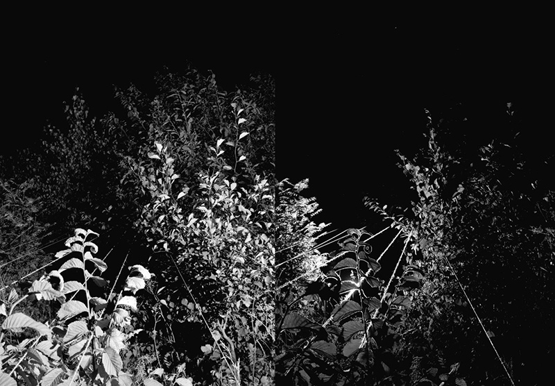 Paco Ulman. Kaasautor Kaja Pae. Untitled 3. 2013. Pigmenttinditrükk. 40 x 30 cm. Tiraaž: 10 + 2 AP