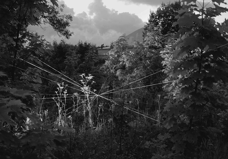 Paco Ulman. Kaasautor Kaja Pae. Untitled 8. 2013. Pigmenttinditrükk. 40 x 30 cm. Tiraaž: 10 + 2 AP