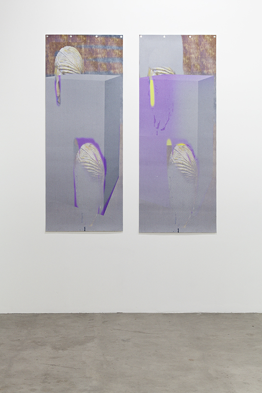 Andrey Bogush. Proposal for duplicated head, purple and grey default cube (ver. 2), stretched. 2016. UV trükk vinüülvaibal. 100 x 250cm. Tiraaž: 1